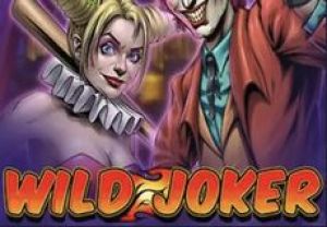 General information about Wild Joker slot