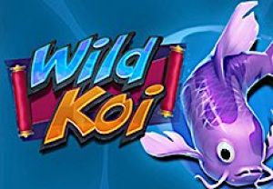 General information about Wild Koi slot