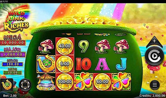 Wild Link Riches