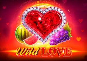 General information about Wild Love slot