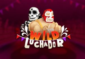 General information about Wild Luchador slot