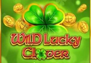 General information about Wild Lucky Clover slot
