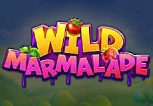 General information about Wild Marmalade slot