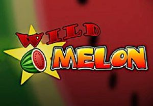 General information about Wild Melon slot