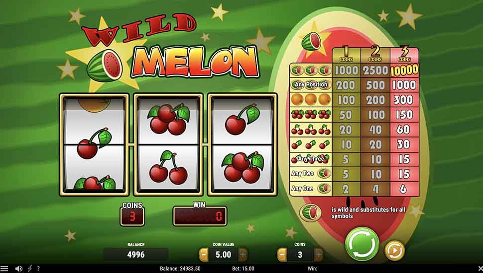 Wild Melon slot paytable