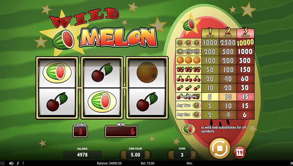 Wild Melon slot Wild Wins