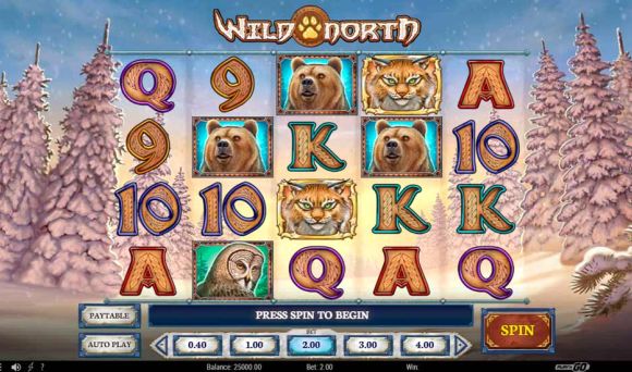 Wild North