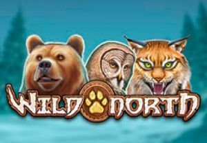 General information about Wild North slot