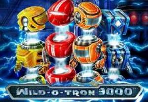 General information about Wild-O-Tron 3000 slot