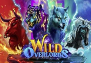 General information about Wild Overlords slot