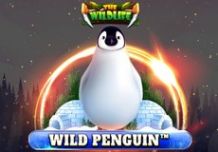 Wild Penguin
