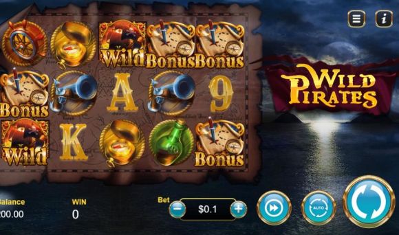 Wild Pirates