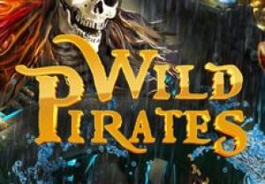 General information about Wild Pirates slot