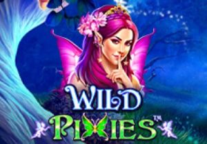 General information about Wild Pixies slot