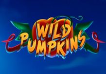 Wild Pumpkins