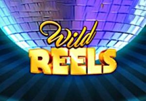 General information about Wild Reels slot