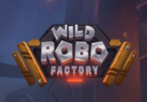 General information about Wild Robo Factory slot