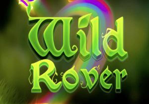 General information about Wild Rover slot