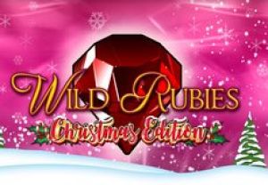 General information about Wild Rubies Christmas Edition slot