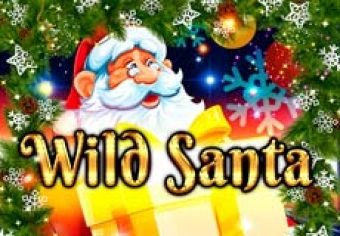 Wild Santa logo
