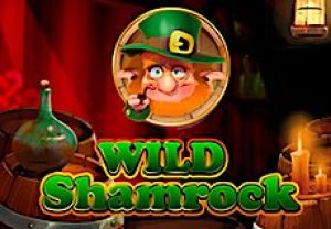 General information about Wild Shamrock slot