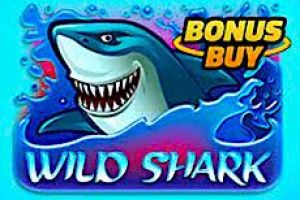 Play 6 Wild Sharks, Online Slot