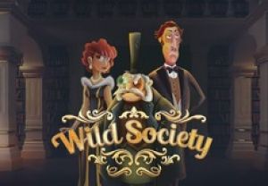 General information about Wild Society slot