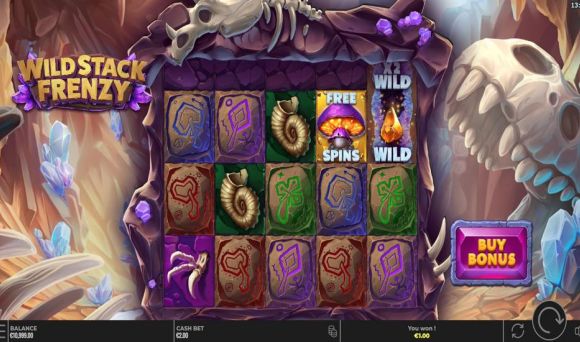 Wild Stack Frenzy