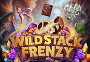 General information about Wild Stack Frenzy slot