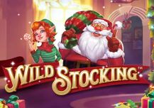 Wild Stocking