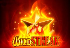 General information about Wild Streak slot