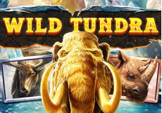 Wild Tundra Slot logo