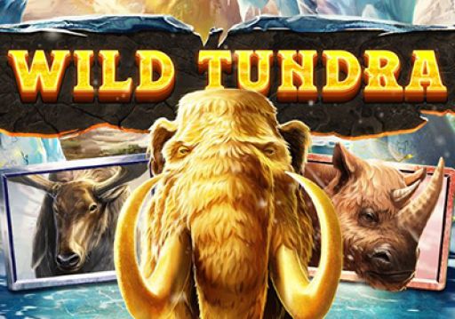 Wild Tundra logo