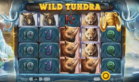 Wild Tundra