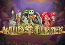 Wild Turkey