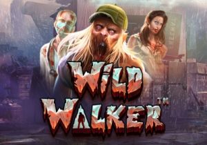 General information about Wild Walker slot