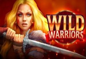 General information about Wild Warriors slot