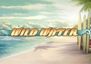 General information about Wild Water slot