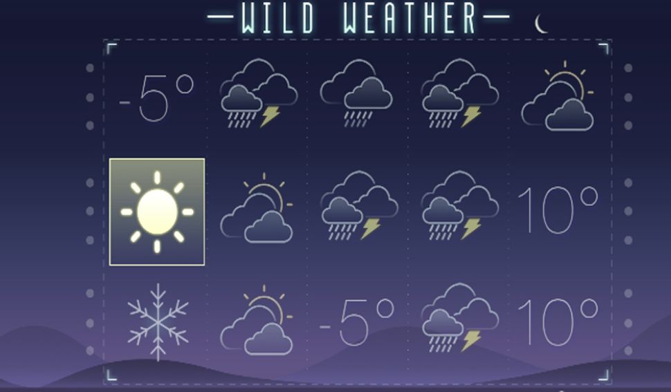 Wild Weather