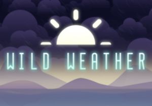 General information about Wild Weather slot