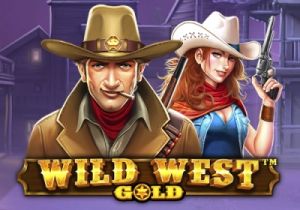 General information about Wild West Gold slot