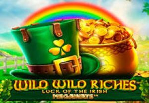 General information about Wild Wild Riches Megaways slot