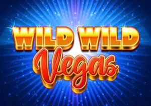 General information about Wild Wild Vegas slot