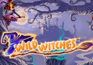 General information about Wild Witches slot