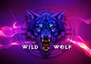 General information about Wild Wolf slot