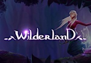 General information about Wilderland slot