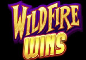 General information about Wildfire Wins slot