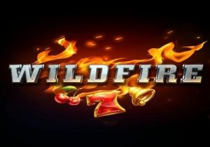 General information about Wildfire slot