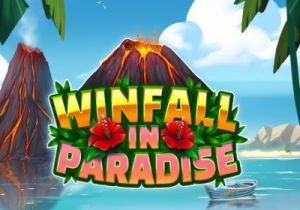 General information about Winfall in Paradise slot