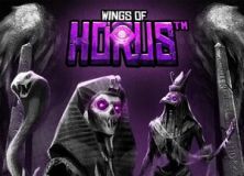 Wings of Horus